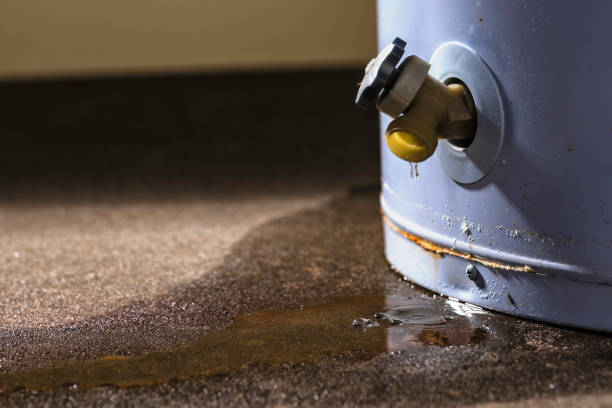 Best Ceiling water damage repair  in Bourbonnais, IL