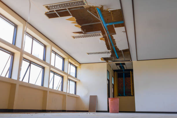 Best Flood damage cleanup  in Bourbonnais, IL