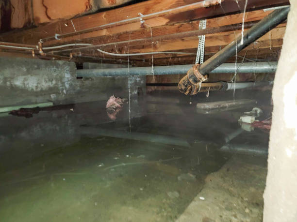 Trusted Bourbonnais, IL Water damage restoration Experts