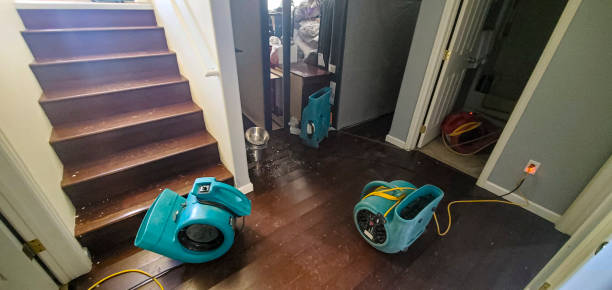 Best Water damage cleanup near me  in Bourbonnais, IL