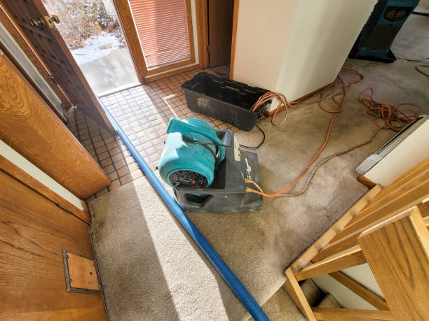 Fire Damage Restoration in Bourbonnais, IL
