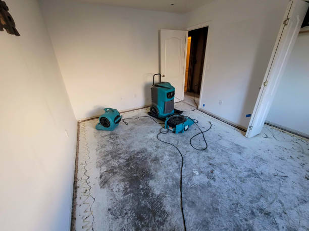 Best Fire Damage Restoration  in Bourbonnais, IL