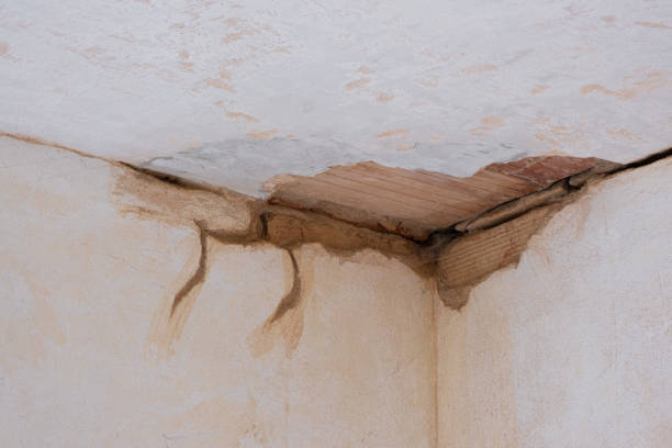 Best Flood damage cleanup  in Bourbonnais, IL