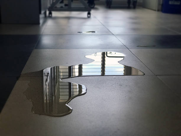 Best Local water damage restoration  in Bourbonnais, IL