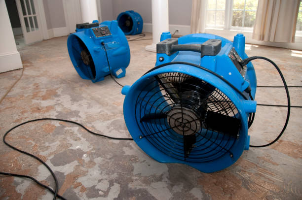 Best Water damage restoration near me  in Bourbonnais, IL