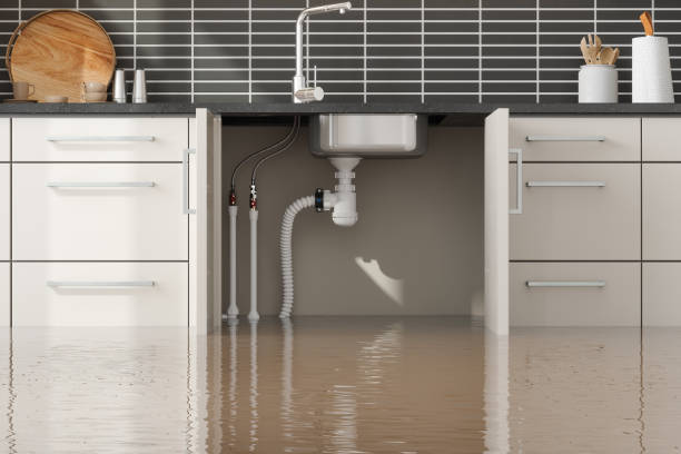 Best Water damage restoration company  in Bourbonnais, IL