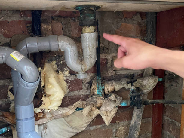 Best Ceiling water damage repair  in Bourbonnais, IL