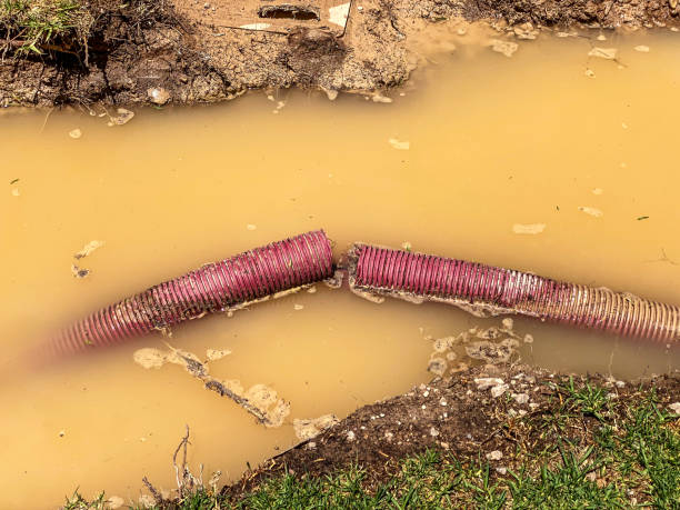 Best Commercial water damage restoration  in Bourbonnais, IL